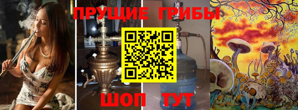 Камышин  дарнет шоп  Вход с VPN  Псилоцибиновые грибы мухоморы 